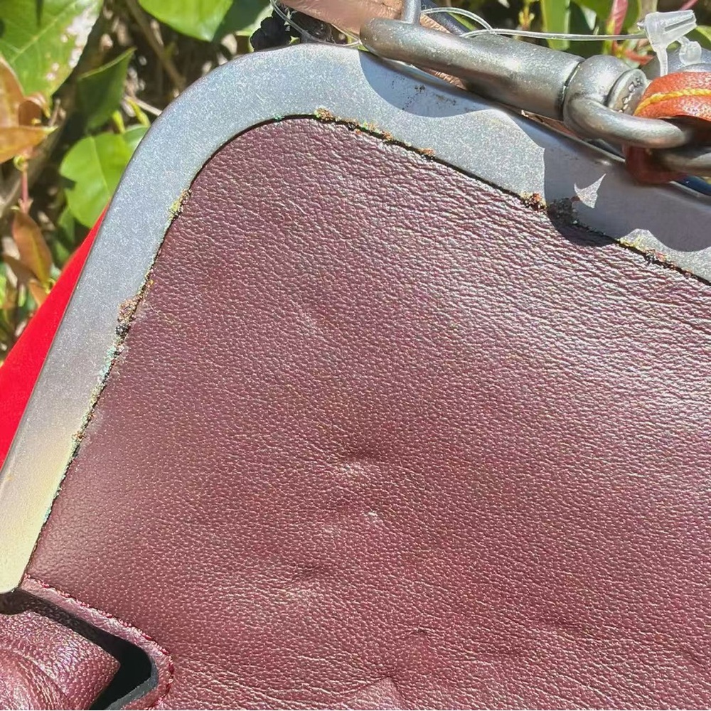 Coach Kisslock Frame Bag With Strawberry Embroidery 11326 - Picture 10 of 13